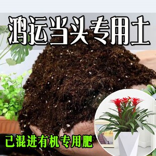鸿运当头专用土 营养土通用型有机种花养花土绿植有机肥料种植土