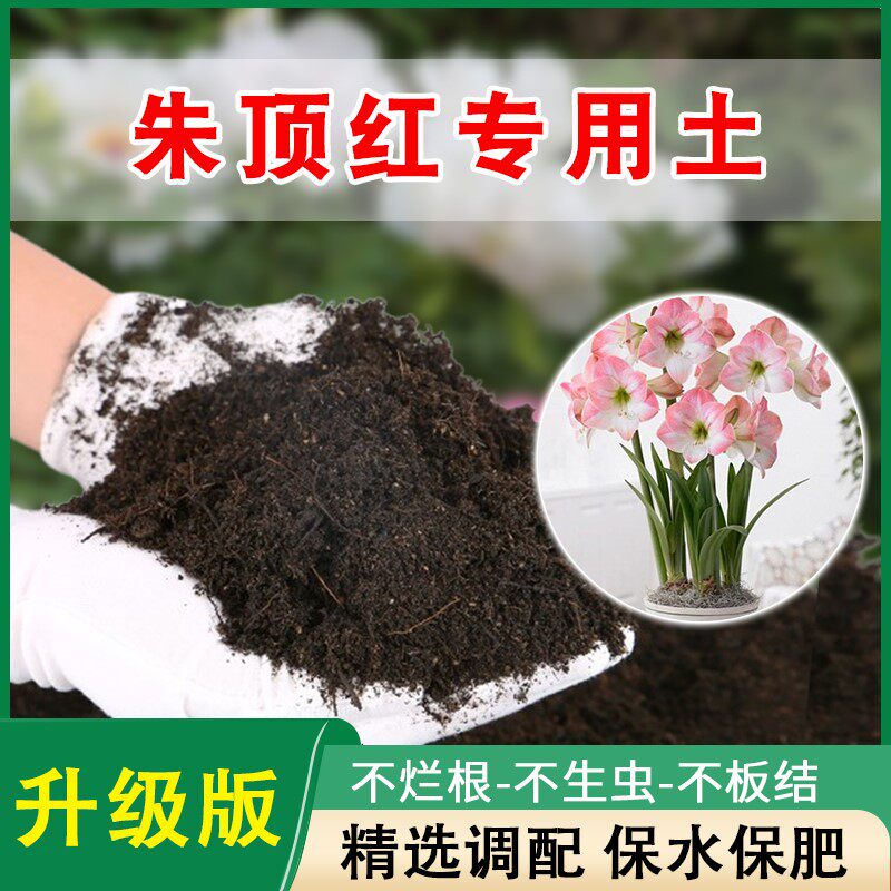 朱顶红专用土家用球根种球有机土营养土花卉养花专用肥料种植土壤