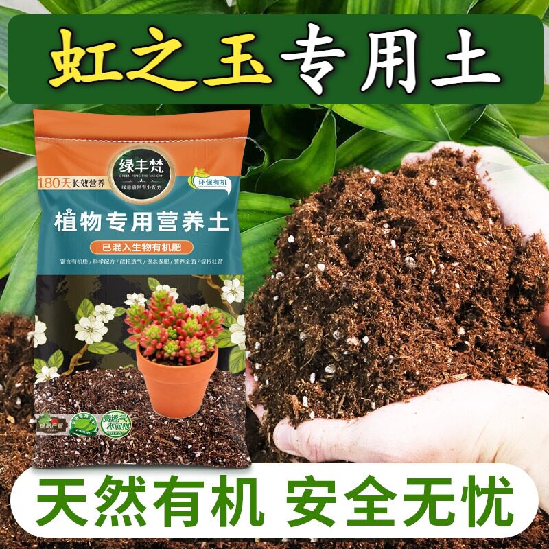 虹之玉专用土壤利于发根盆栽土温和不烧根提升排水家用装木本
