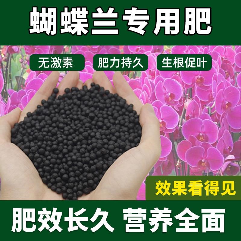 蝴蝶兰专用肥料绿植专用肥专治黄叶防烂根颗粒肥缓释肥营养土壮根