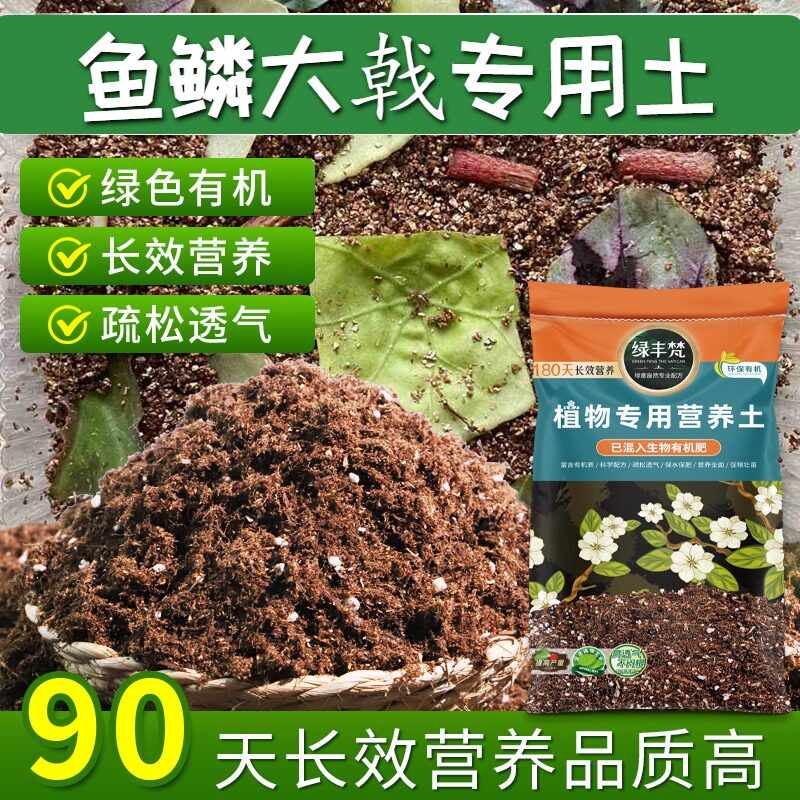 鱼鳞大戟专用花土不烧根不烧苗盆栽土质地松软涵养养分实惠装木本