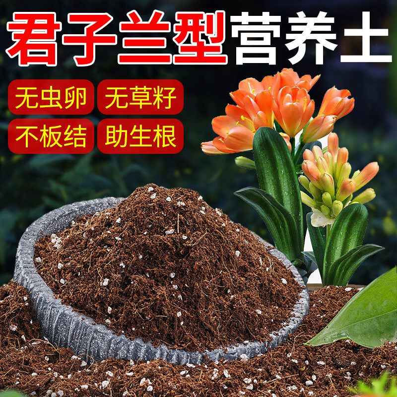 君子兰专用土盆栽有机腐叶松针泥炭土腐熟肥土养精品营养兰花花土