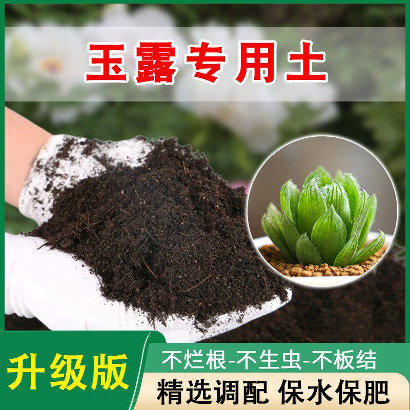 玉露专用土多肉花土专用营养土多肉土专用营养土颗粒有机肥种植土