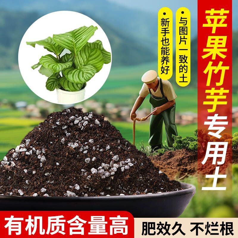 苹果竹芋专用营养土透气疏松含泥炭肥料通用有机种植土适用土轻质