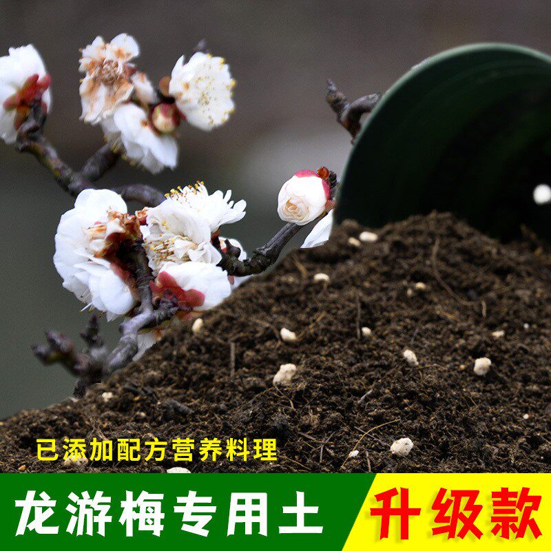 龙游梅专用土有机土肥料家用种植土龙游梅营养土盆栽养花通用包邮