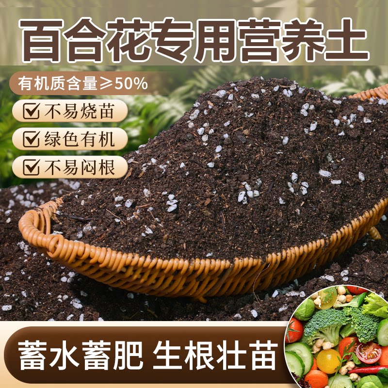 百合花专用土盆栽有机花土种百合花营养土壤养花通用种植土透气