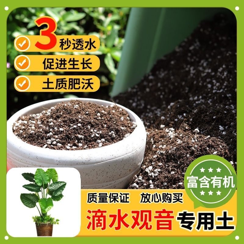 【滴水观音专用土】家用盆栽土加生根粉绿植专用有机植物营养肥料