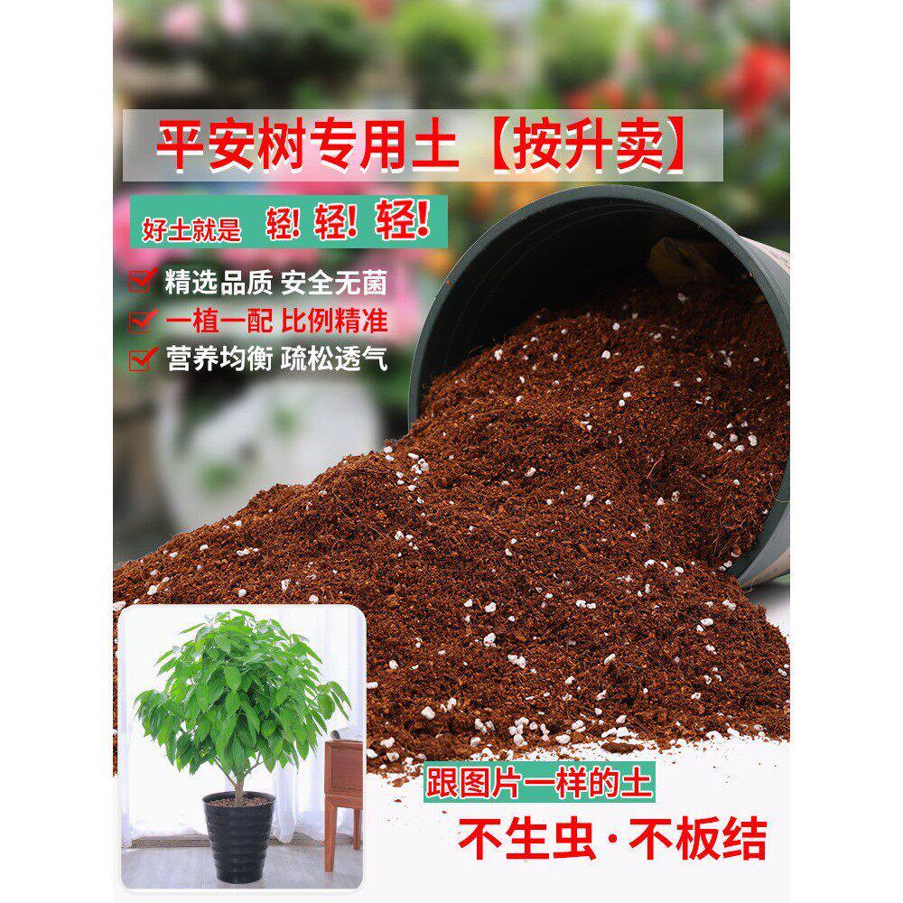 平安树专用土大型绿植专用营养土盆栽花卉通用弱酸性肉桂植料土壤