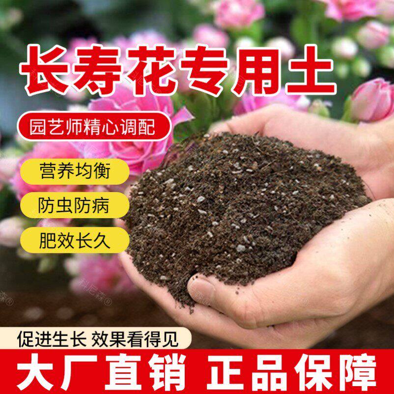 长寿花专用土长寿花专用肥料椰砖蓬松透气绿植花盆花草种植土