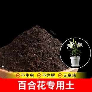 百合花专用土营养土绿植室内养花土营养土花草发酵阳台天然种植土
