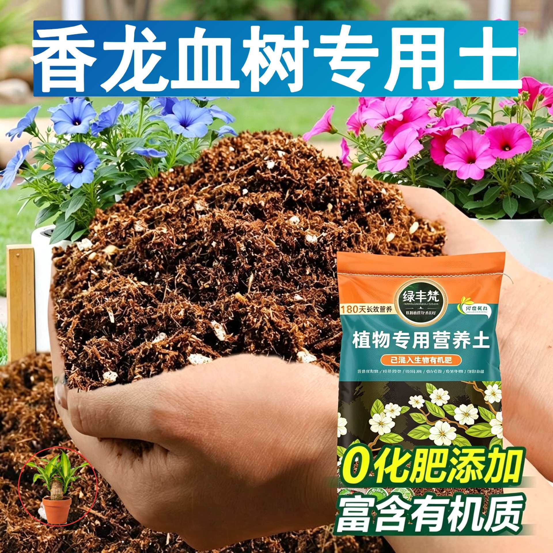 香龙血树适用轻质园艺土不易板结种植土进口保水锁水家用装观花
