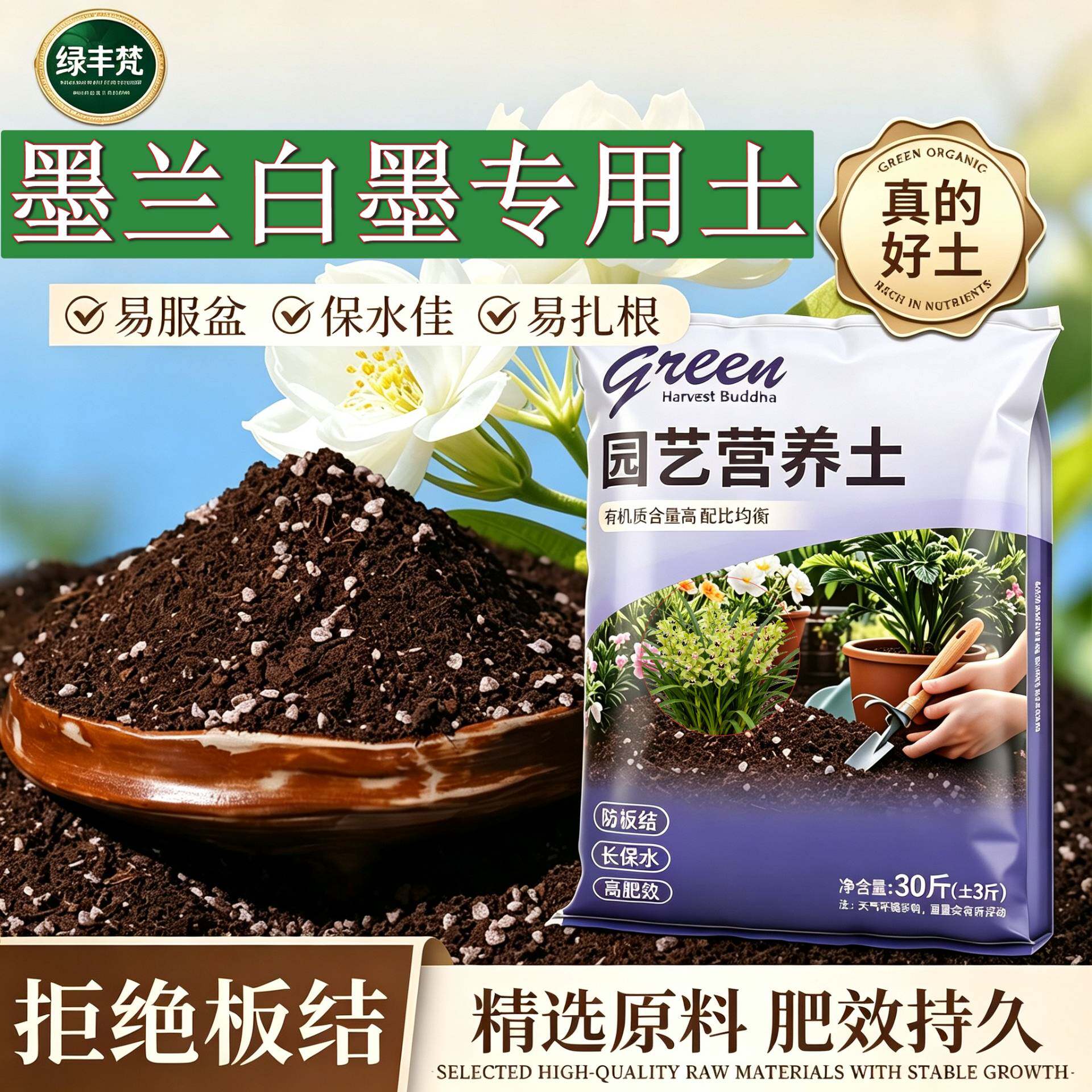 墨兰白墨适用盆景土根壮苗好不闷根盆景加牛粪优质防黄叶多肉菜园