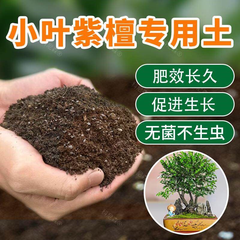小叶紫檀专用土绿植专用营养土庭院盆栽花卉腐殖有机营养肥土包邮