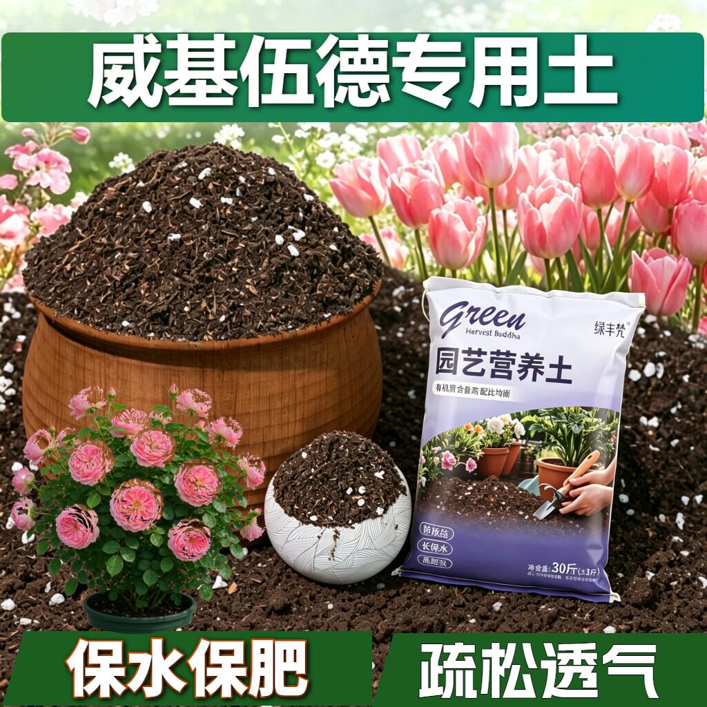 威基伍德专用栽培土不板结园艺加牛粪优质壮根球根高温腐熟泥炭土