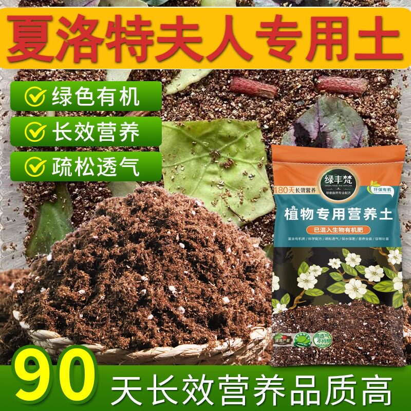 夏洛特夫人专用轻质有机土营养土杂质较少保护根系开袋即用喜酸