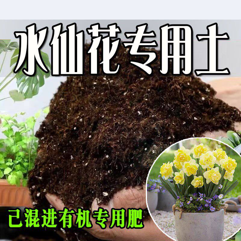 水仙花专用土 水仙花专用营养土 盆栽养花种花土通用种植土壤肥料