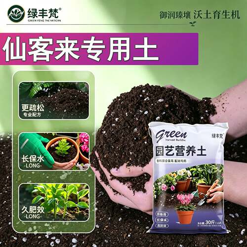仙客来专用栽培土高温腐熟根壮苗好阳台加深生根粉进口增色木本
