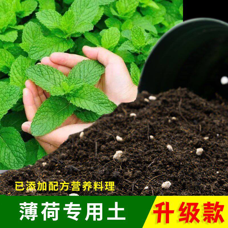 薄荷专用土家用土酸性优质盆栽种植土薄荷营养土室内绿植花土肥料