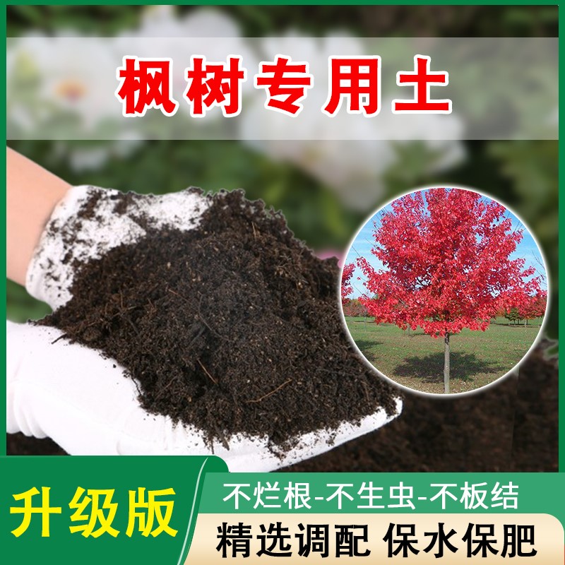 枫树专用土透气酸性营养土通用家用肥料有机土红枫树专用种植土壤