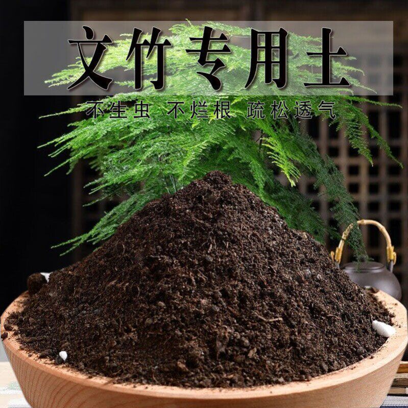 文竹专用土花盆栽培土有机毛竹土文竹专用营养土内门竹种植肥料土