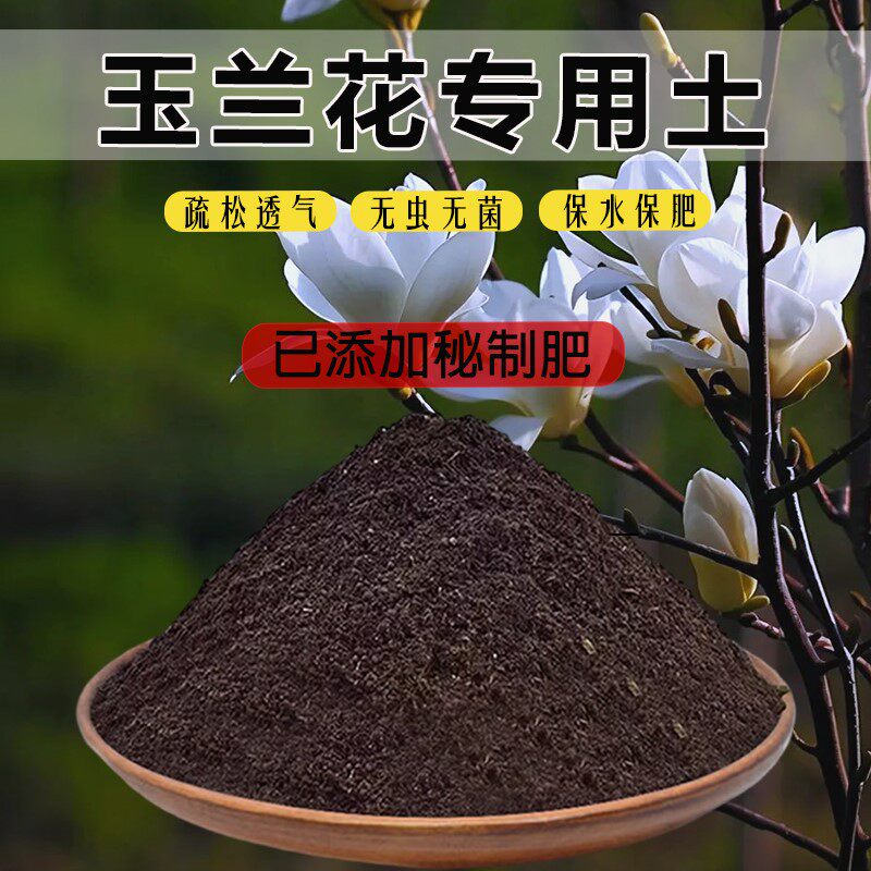 宝莲灯花专用土家用透气盆栽土通用土种花土宝莲灯花营养土花卉土