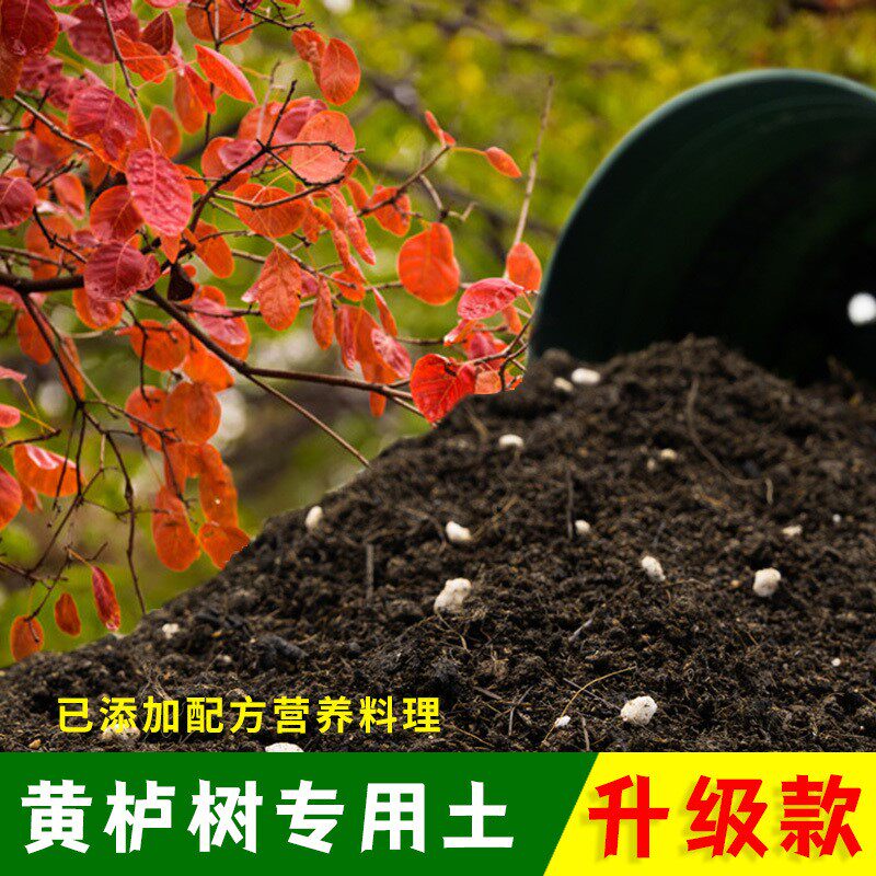 黄栌树专用土有机土肥料家用种植土黄栌树营养土盆栽养花通用包邮
