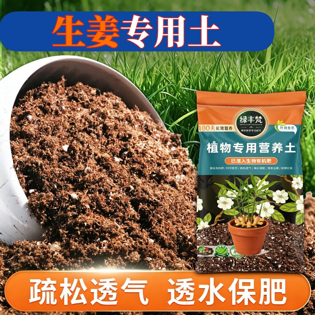 生姜适用轻质基质土根壮苗好种植土经久耐用保护根系无草籽球根