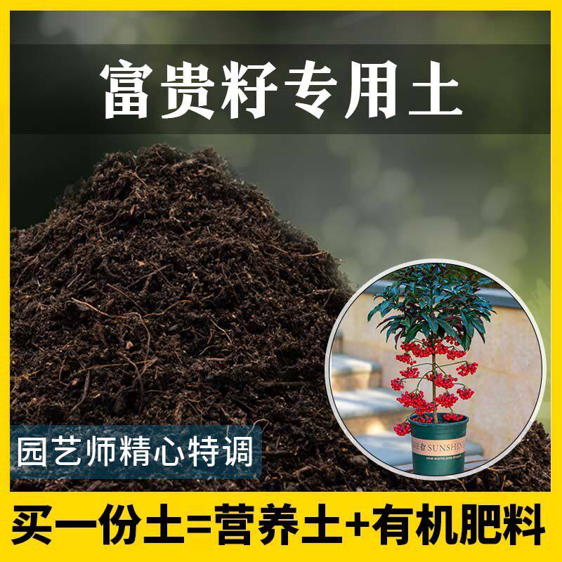 富贵籽专用土家用养花有机土壤种植土富贵籽营养土植物种花盆栽土