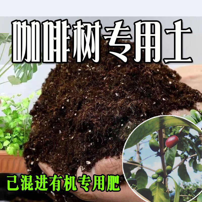 咖啡树专用土 咖啡树专用营养土 盆栽养花种花土通用种植土壤肥料