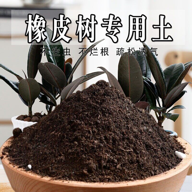 橡皮树专用土橡皮树专用营养土肥料家庭种菜栽培土家用土壤天然土