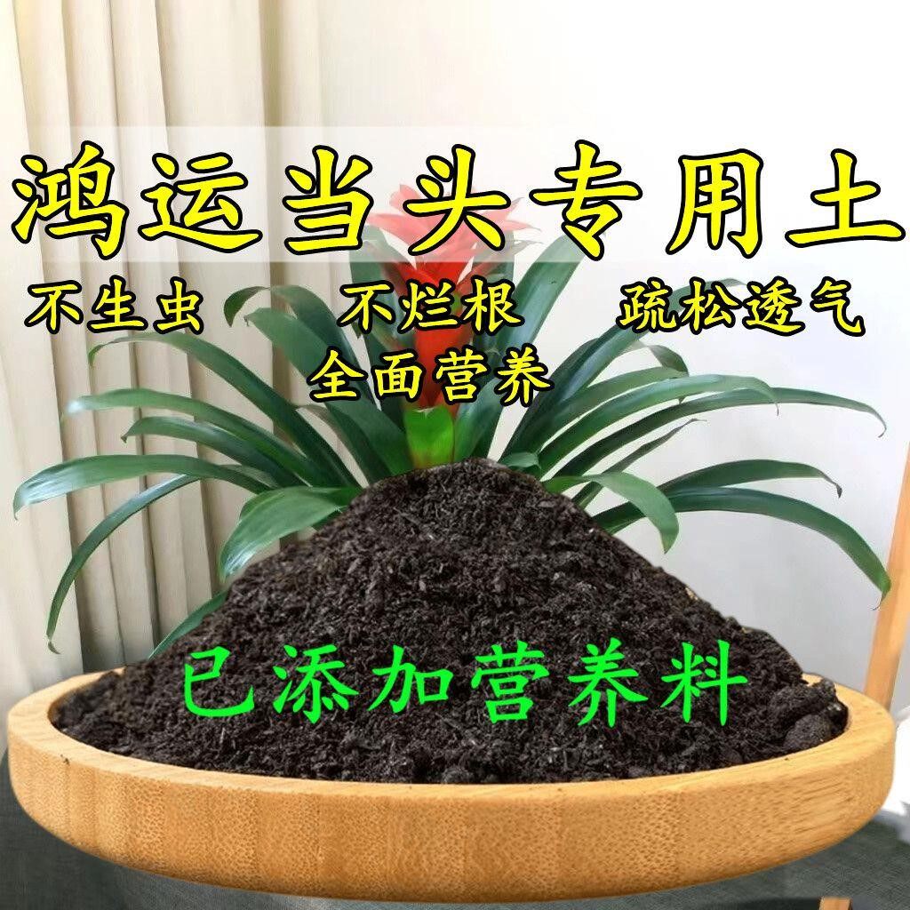 鸿运当头专用土凤梨酸性泥碳土通用盆栽营养土透气花卉种植土肥料