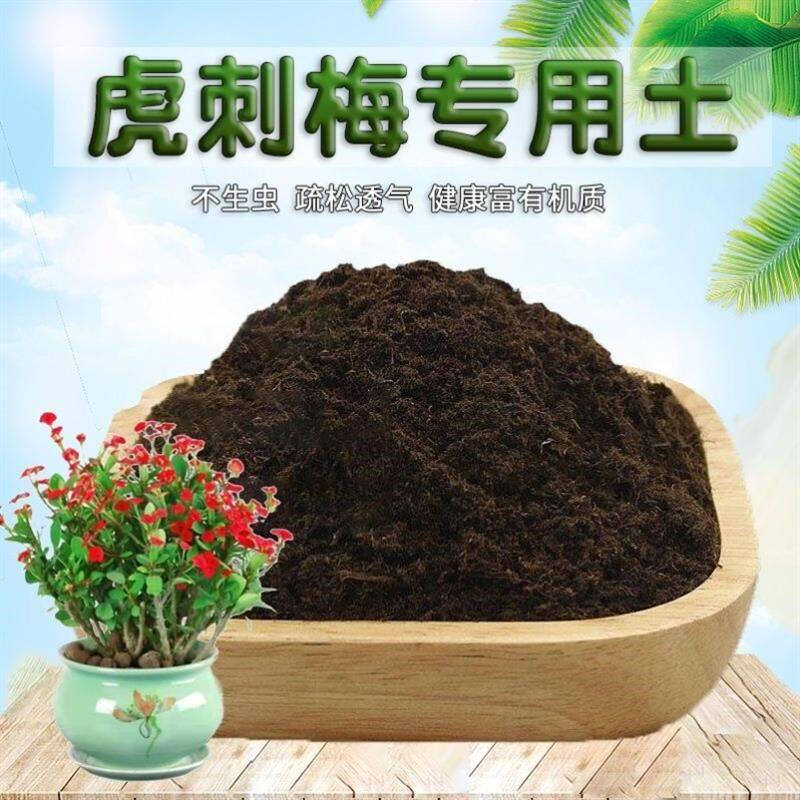 虎刺梅专用土虎刺梅营养土种植土壤种花泥土室内通用养花土有机肥