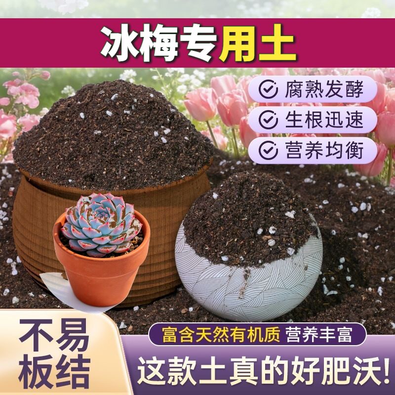 冰梅适用种菜土保水保肥不烂根扦插加有机肥优质防黄叶喜酸防徒长