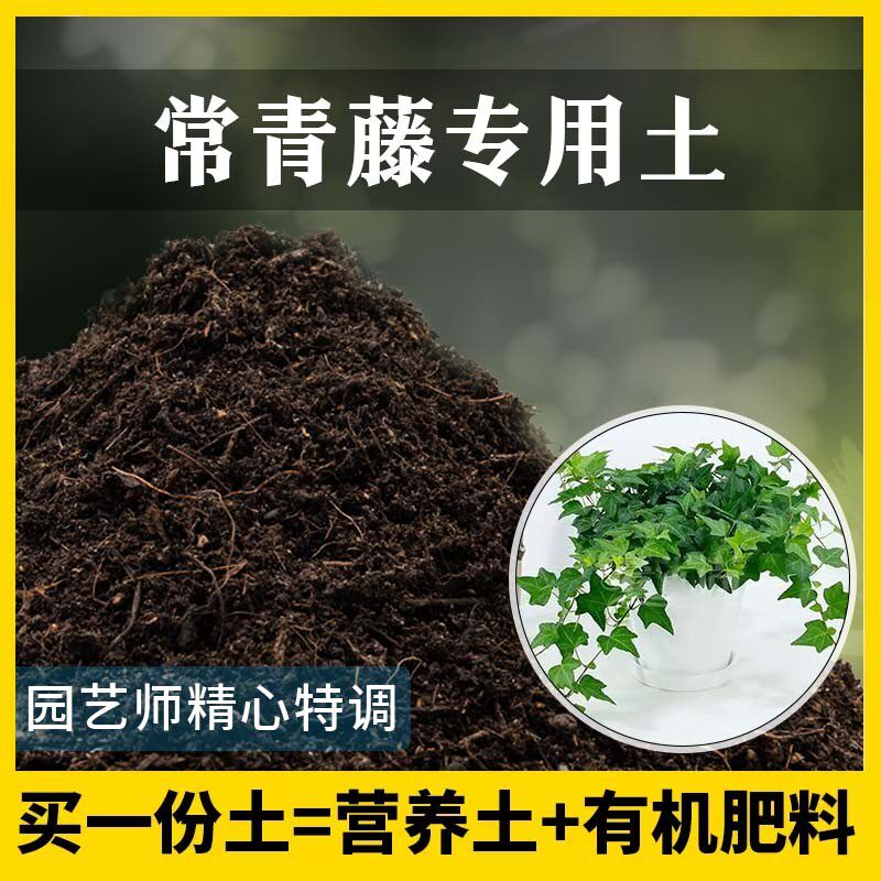 常青藤专用土家用养花有机土壤种植土常青藤营养土植物种花盆栽土