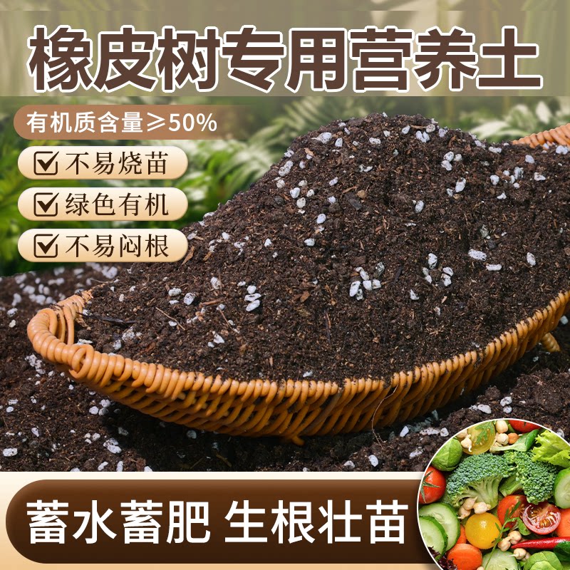 橡皮树专用土盆栽有机花土种橡皮树营养土壤养花通用种植土透气