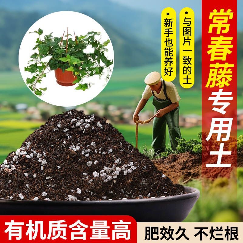 常春藤天然腐殖含泥炭疏松透气家庭园艺加牛粪基质养花土高温灭菌