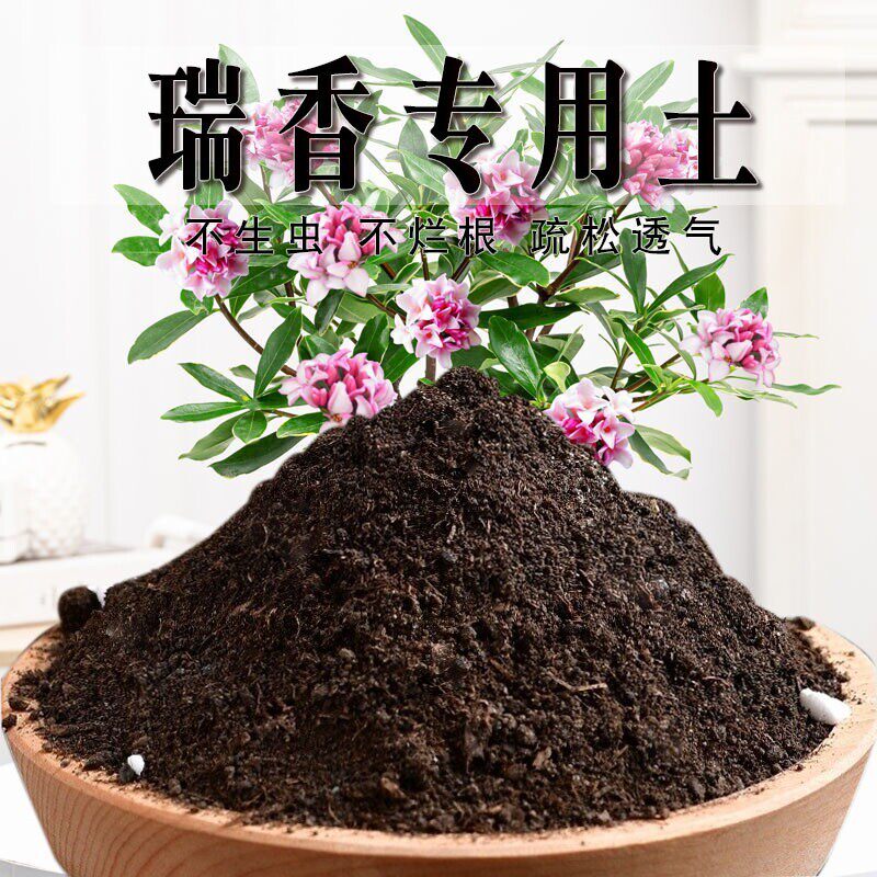 金边瑞香专用土有机土蓬松天然金边瑞香专用营养土盆栽种菜种植土