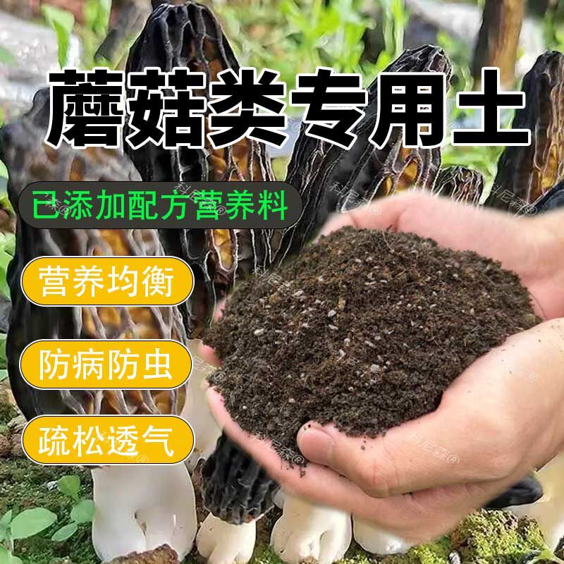 蘑菇专用营养土菌类专用盆栽泥炭腐殖腐叶土家用羊肚菌营养肥土壤