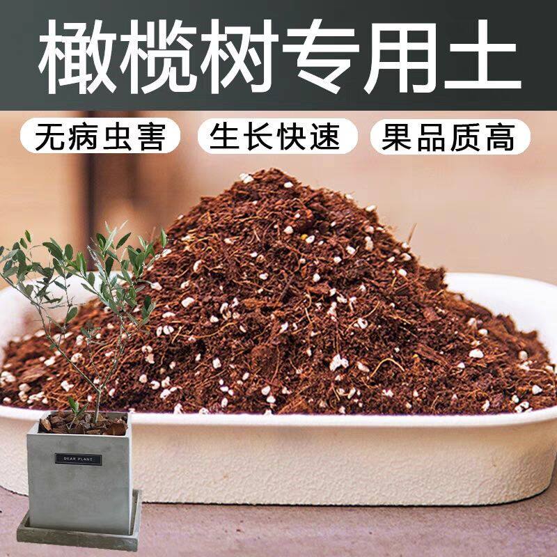 橄榄树专用土果树树专用营养土盆栽土养花种花土通用种植土壤肥料