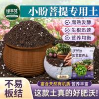 小盼菩提专用基质不板结保水保肥扦插加深生根粉有机壮根观叶育苗