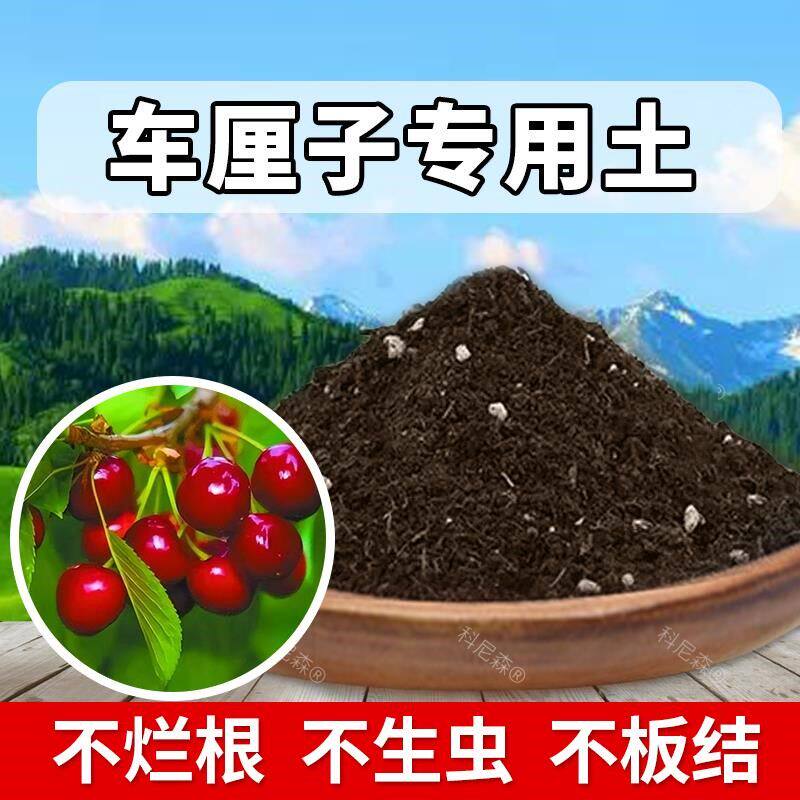 车厘子专用土肥料车厘子专用营养土种树泥土农业果苗栽培土有机土