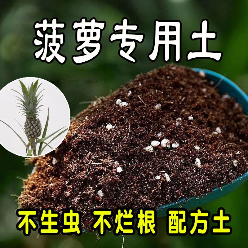 菠萝专用营养土 菠萝专用土 盆栽花土种花养花果树种植土壤通用型