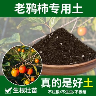 老鸦柿专用土蓬松室内养花专用土花肥栽培土种花通用种花土椰砖