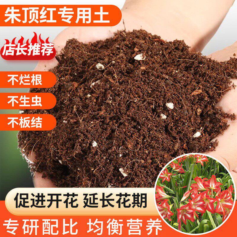 种朱顶红专用土营养土球根种球专用土花土壤专用肥料泥土种植土
