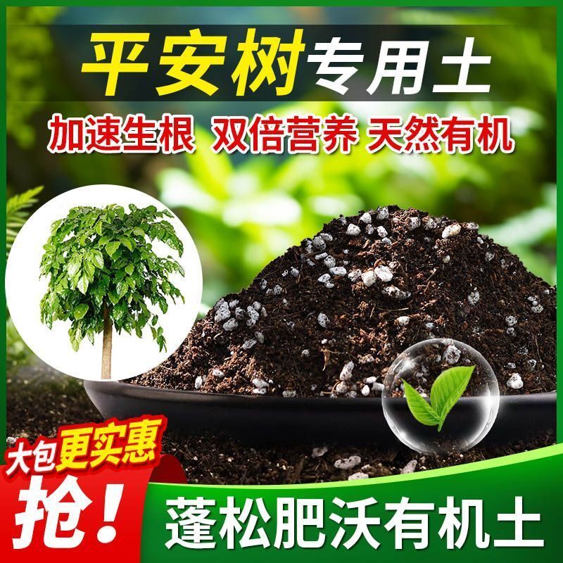 平安树专用土平安树土壤养花营养土多肉绿萝盆栽种植土椰糠土肥料