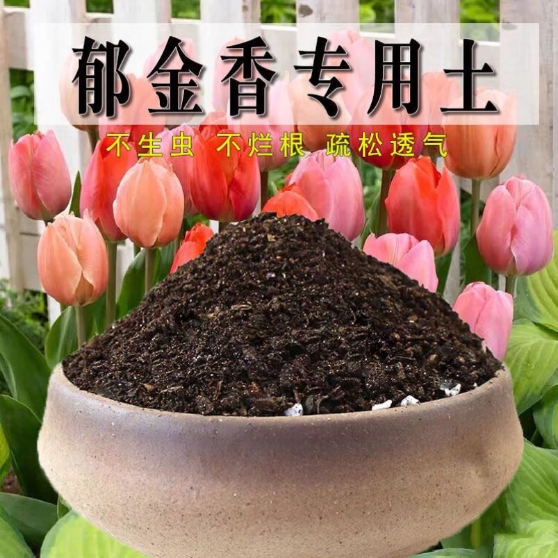 郁金香专用土郁金香土壤养花种花泥土营养土通用种植土盆栽种植土