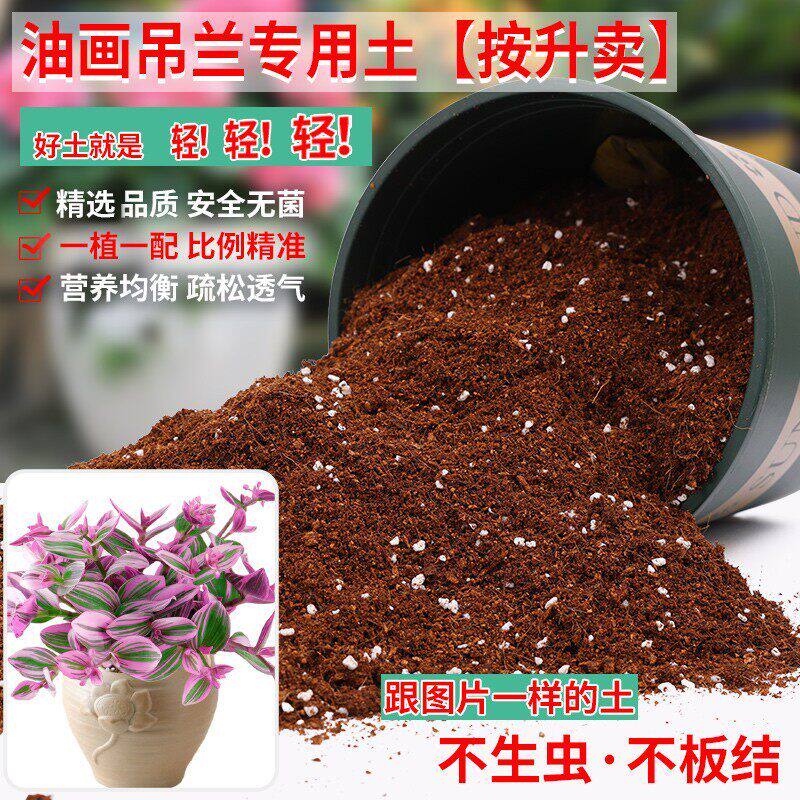 油画吊兰专用土轻质土紫罗兰专用营养土养花种花泥盆栽肥料颗粒土