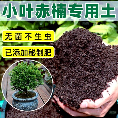 小叶赤楠专用土种花营养土家用盆栽种植土养花植物通用有机花土