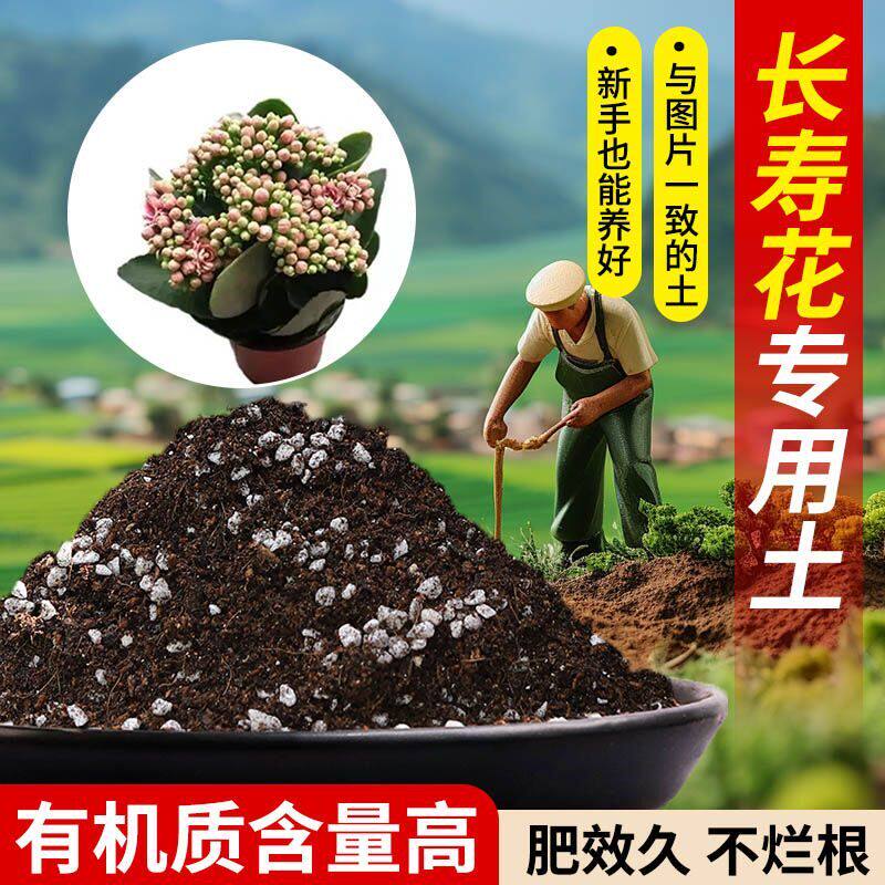 长寿花专营养土专用土含泥炭肥料通用有机种植土轻质疏松透气