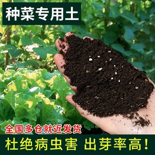 阳台种菜专用土蔬菜通用型营养土种植土黑土菜园有机肥料种菜土壤
